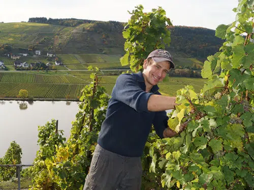 Lesen Sie mehr über die Weingut