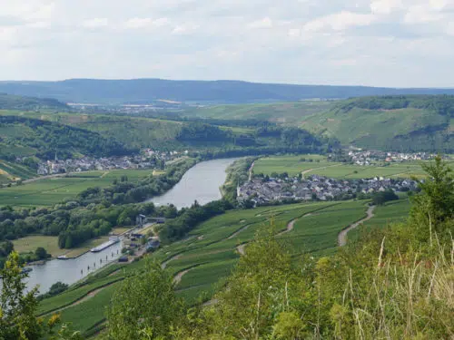 Detzem - wo unser Wein angebaut wird